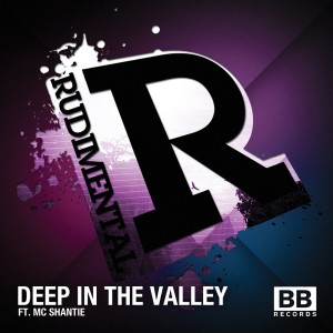 收聽Rudimental的Deep in the Valley (House Mix)歌詞歌曲