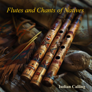 Listen to Mahk Jchi (Heartbeat Drum Song) song with lyrics from Indian Calling