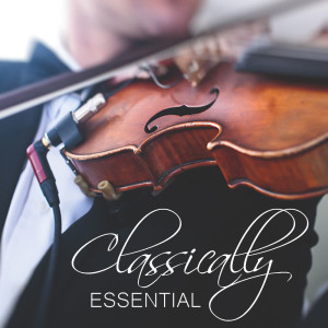 Listen to Mozart Symphony 40, KV 550, 4 song with lyrics from The St Petra Russian Symphony Orchestra