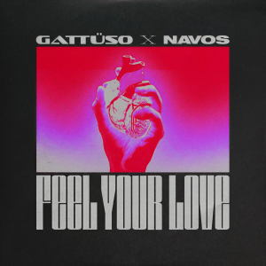 อัลบัม Feel Your Love ศิลปิน GATTÜSO