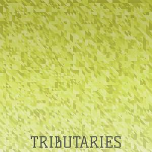 Album Tributaries from Various
