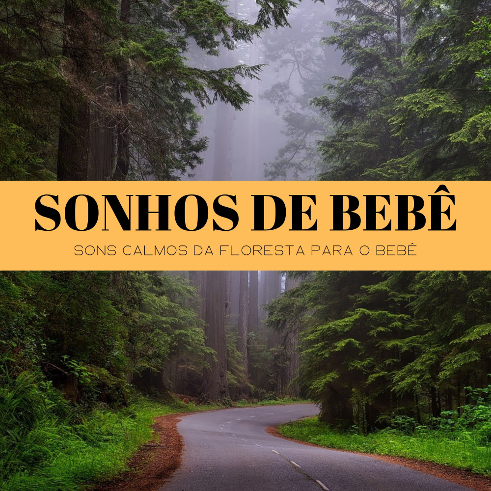Diversão De Bebê