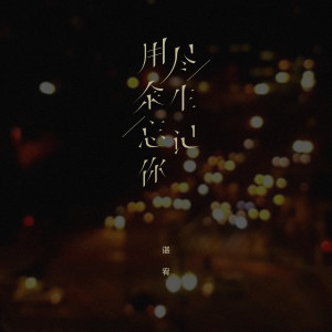 收听谌宥的用尽余生忘记你歌词歌曲