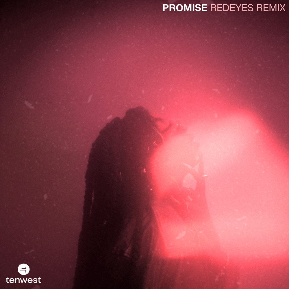 PROMISE (Redeyes Remix|Explicit)