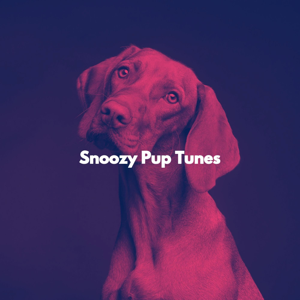 Snoozy Pup Tunes