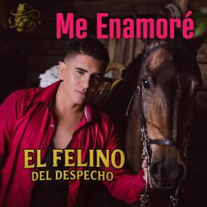 ดาวน์โหลดและฟังเพลง Se Pierde y Se Gana พร้อมเนื้อเพลงจาก El Felino del Despecho