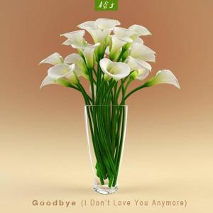Listen to Goodbye(with So Sus) (Original Mix) song with lyrics from ASAN