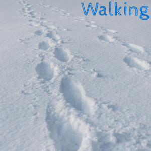 收聽Kazumi的Walking歌詞歌曲