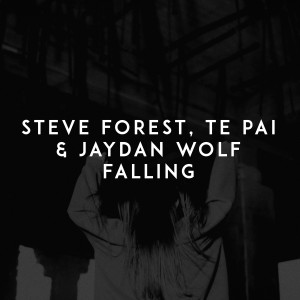 ดาวน์โหลดและฟังเพลง Falling พร้อมเนื้อเพลงจาก Steve Forest
