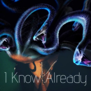 Dc Miller的专辑I Know Already (Explicit)