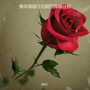 收聽RIN7.的像玫瑰錯過花期而我錯過你歌詞歌曲