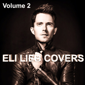 Eli Lieb的專輯Eli Lieb Covers, Vol. 2