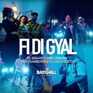Album Fi Di Gyal (Explicit) from El Shaaki