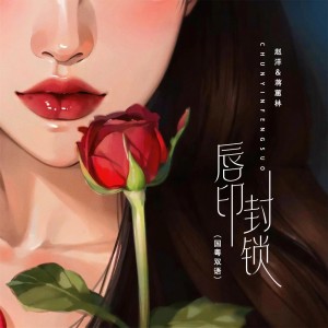 Listen to 唇印封锁（国粤双语吉特巴版） (完整版) song with lyrics from 赵洋