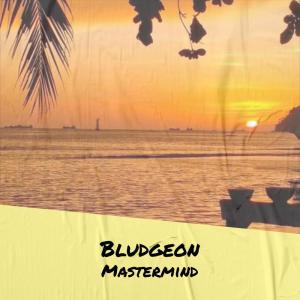 Dengarkan lagu Picturesque Band nyanyian Ledio Rual dengan lirik
