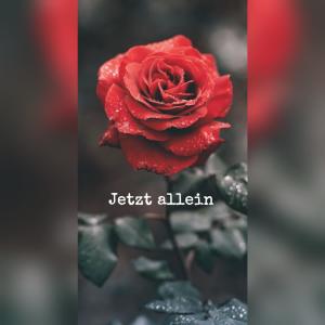 收聽Flolewo的Jetzt allein (feat. TyNi)歌詞歌曲