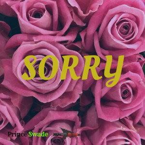 收聽Prince Swade的Sorry歌詞歌曲