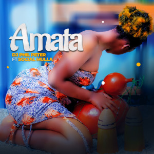 Album Amata from Dj Phil Peter