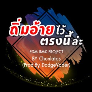 ดาวน์โหลดและฟังเพลง ถิ่มอ้ายไว้ตรงนี้ล่ะ (EDM RMX PROJECT) พร้อมเนื้อเพลงจาก ไผ่ พงศธร