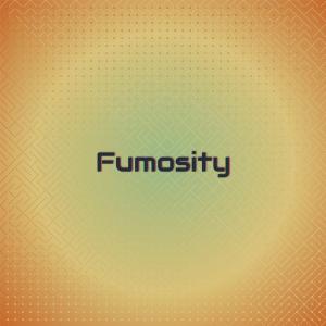 Various Artists的專輯Fumosity