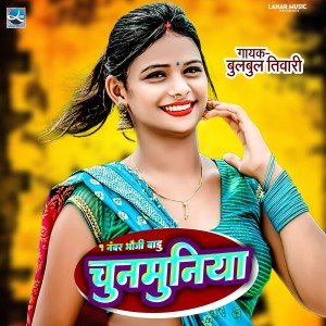 Listen to EK Nambar Bhauji Badu Chunmuniya song with lyrics from Bulbul Tiwari