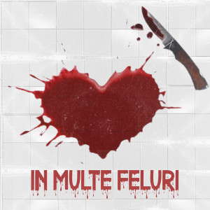 Listen to In Multe Feluri song with lyrics from Studio Calarasi