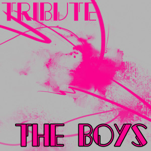 ดาวน์โหลดและฟังเพลง The Boys (Nicki Minaj Feat. Cassie Tribute) พร้อมเนื้อเพลงจาก Pop Tracks