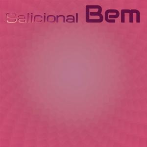 Various的专辑Salicional Bem