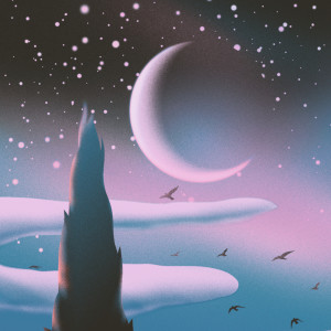 Album Moonlight Hour from Ornithology