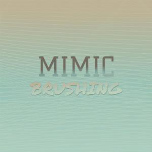 Album Mimic Brushing from Various