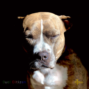 Fii3rd的專輯Dual Citizen