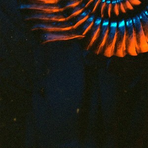 Album Нещо свое from Jluch