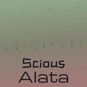 Album Scious Alata from Various