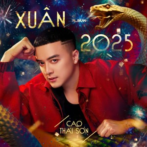 收聽Cao Thai Son的Tết Đến Lo Qua歌詞歌曲