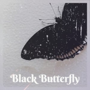 收听Duke Ellington的Black Butterfly歌词歌曲
