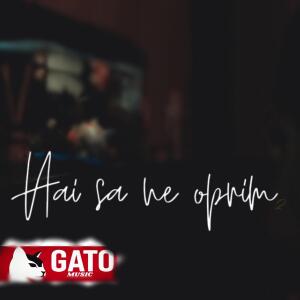 Gato的專輯Hai sa ne Oprim 2 (feat. Vox Latina) [Explicit]