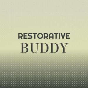 อัลบัม Restorative Buddy ศิลปิน Various