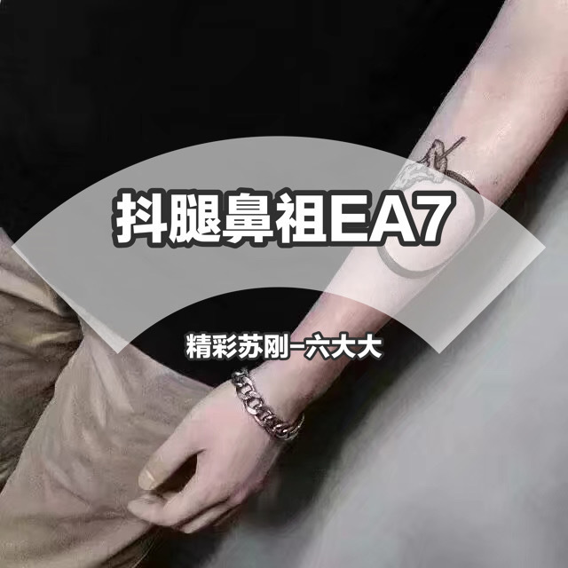 令人兴奋的节奏EA7》