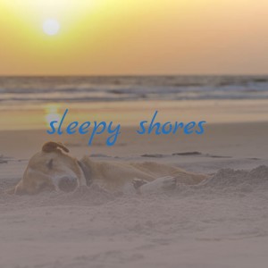 Various Artists的專輯Sleepy Shores