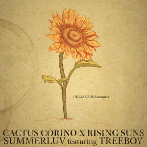 ดาวน์โหลดและฟังเพลง Summerluv (feat. Treeboy) พร้อมเนื้อเพลงจาก Cactus Corino