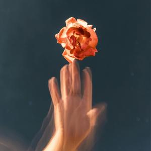 K.J的專輯Hypnotized