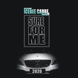 Listen to Sure for Me (Explicit) song with lyrics from Icedee Cadre