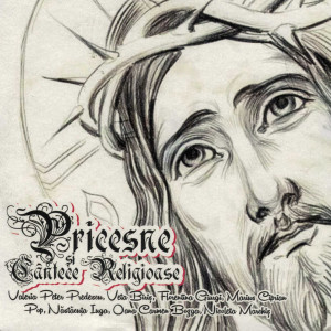 ดาวน์โหลดและฟังเพลง Pe Tine Te Lăudăm พร้อมเนื้อเพลงจาก Marius Ciprian Pop