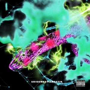 Album Udiggwhyiamshining-Cash out from 