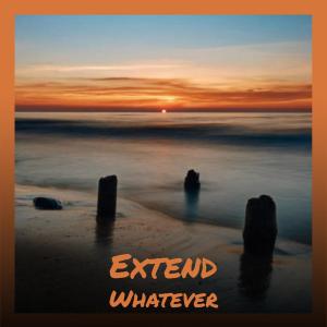 Maario Fier的專輯Extend Whatever