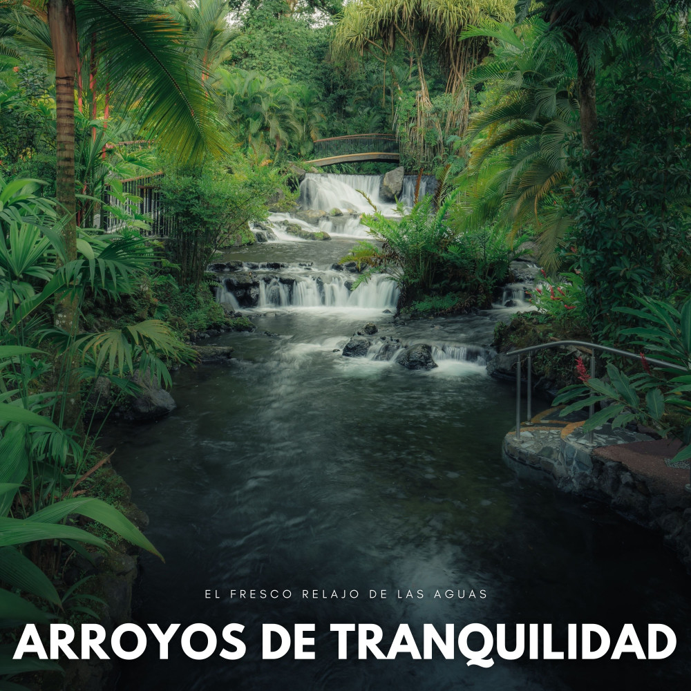 Tranquilidad Cristalina