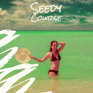 Various Artists的專輯Seedy Course