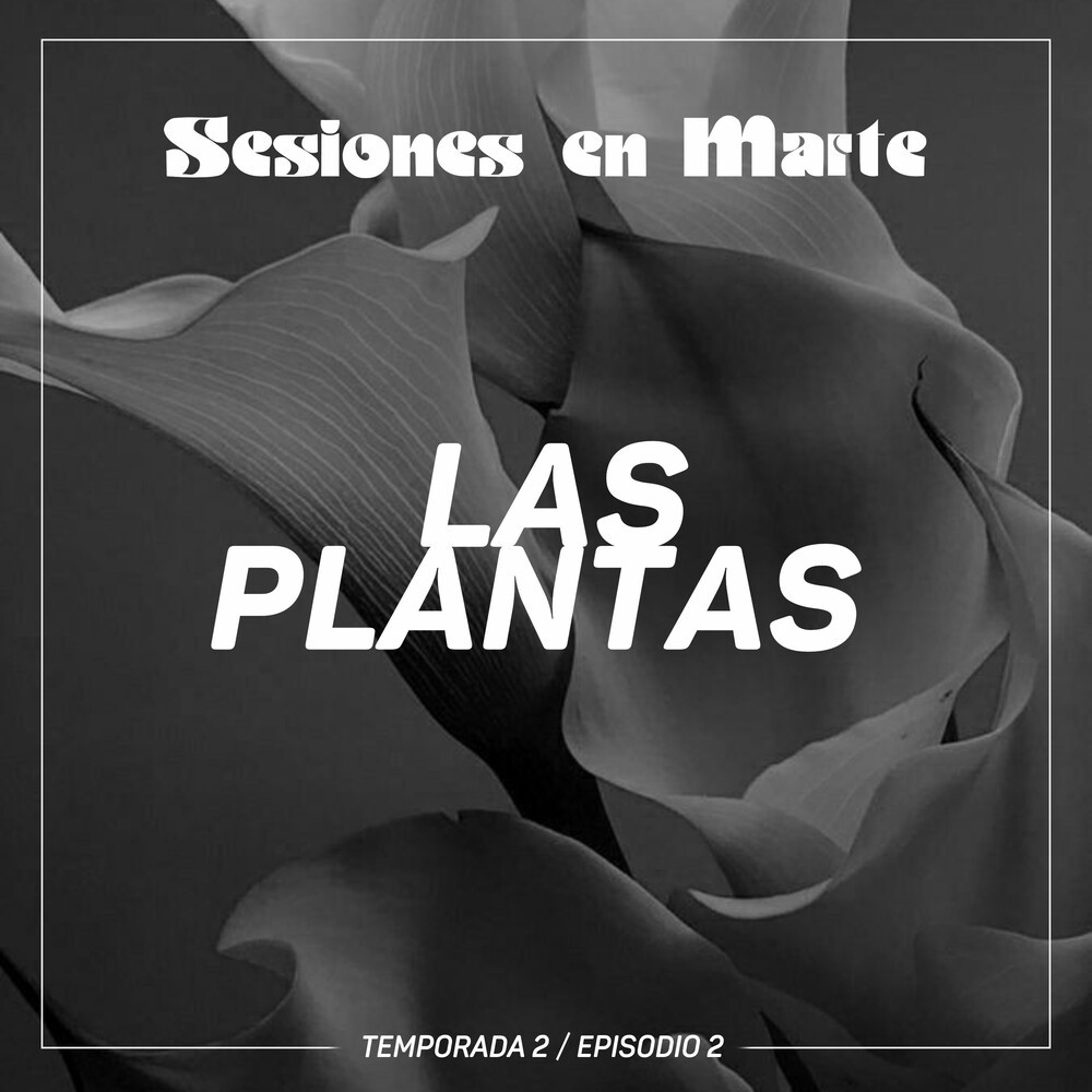Plantas