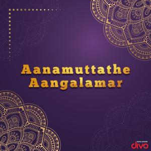 Aanamuttathe Aangalamar (Original Motion Picture Soundtrack) dari Raveendran