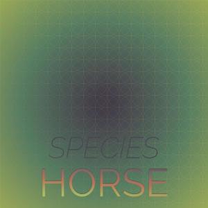 Album Species Horse from Various